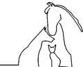 Tierarztpraxis-Juechen